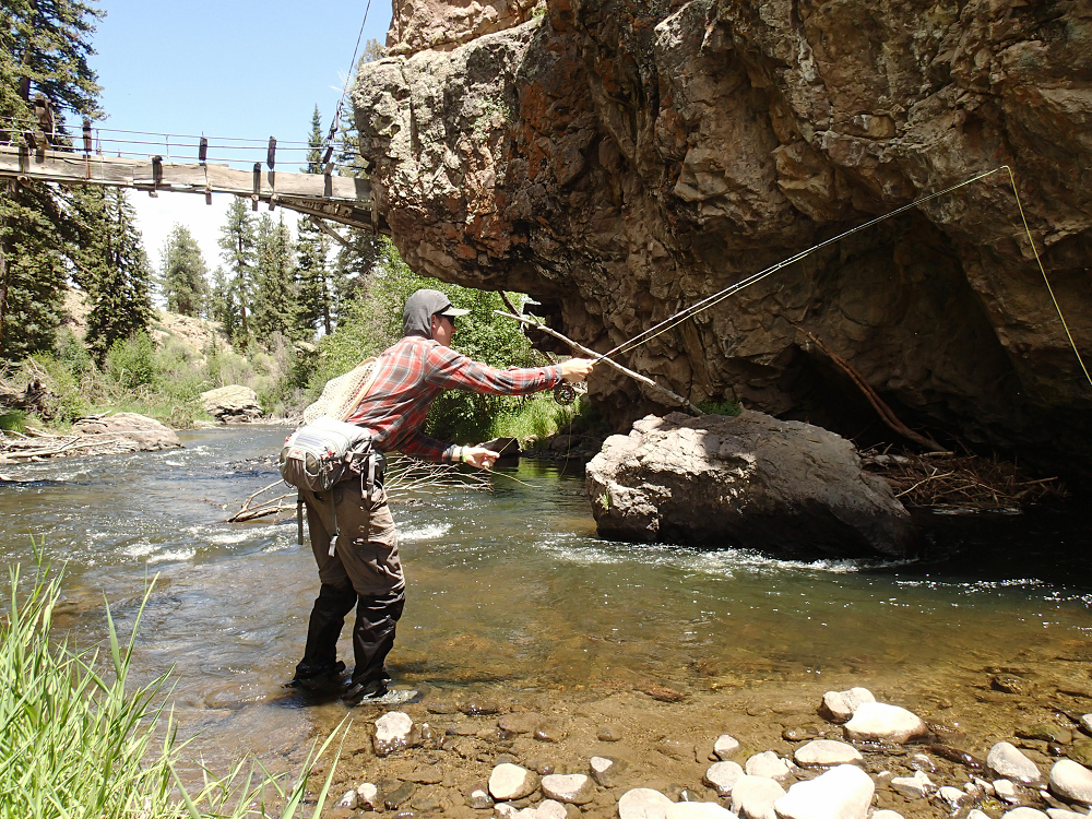Cebolla Creek, CO: Welcome to Brown Town, USA - American Fly Fishing