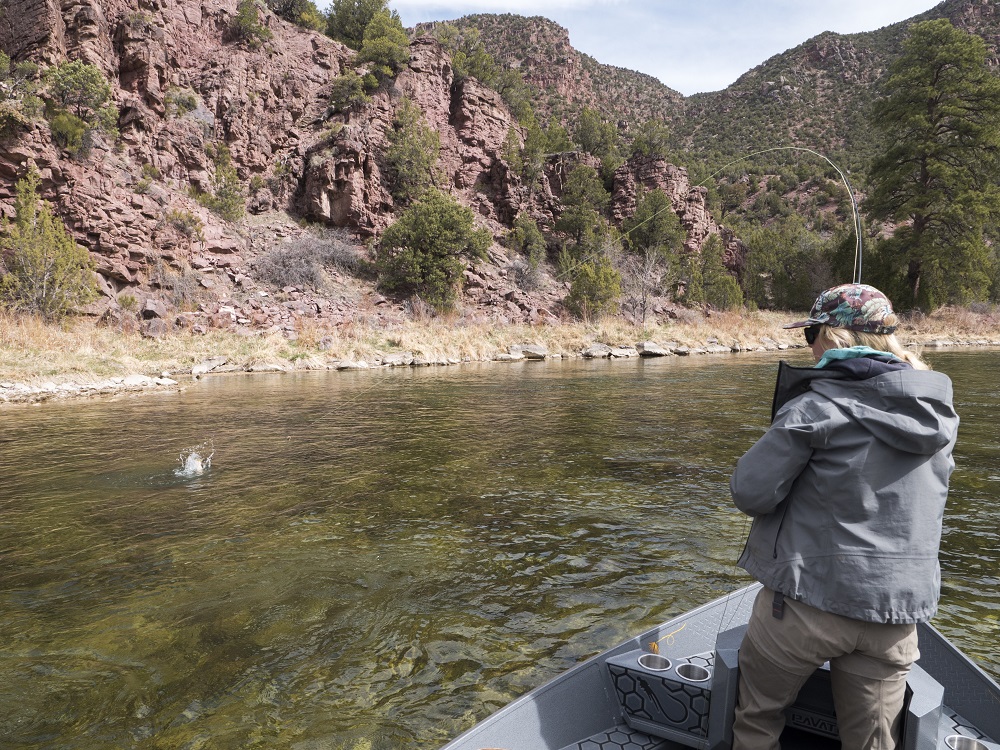 Laurel Crossland hooks a feisty brown trout in the Green River B Section.