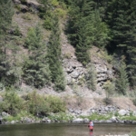 Westslope cutts prefer deep runs and pools, with boulders and downed timber for cover, rather than shallower, more exposed riffles.