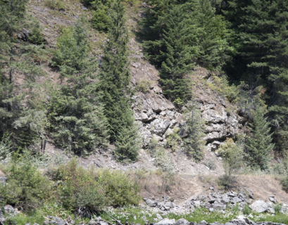 Westslope cutts prefer deep runs and pools, with boulders and downed timber for cover, rather than shallower, more exposed riffles.