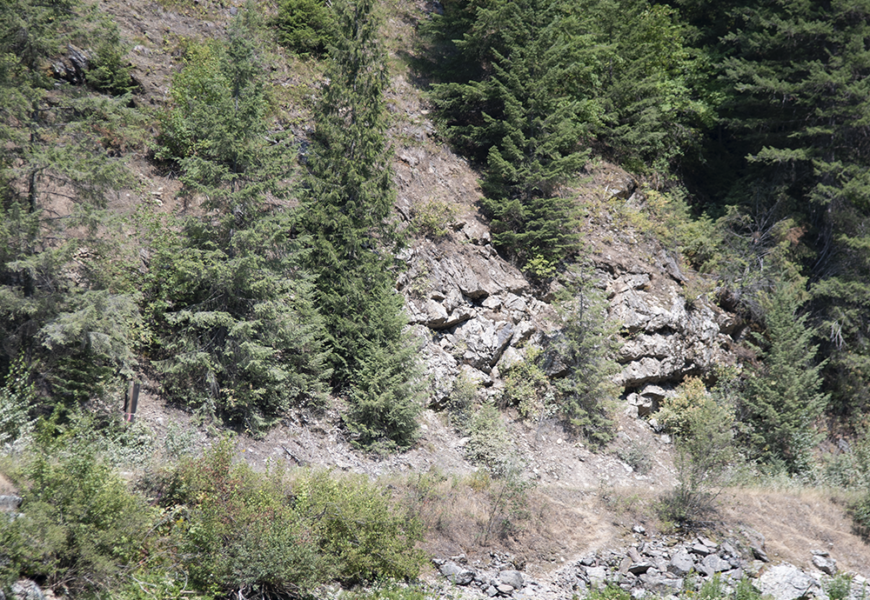 Westslope cutts prefer deep runs and pools, with boulders and downed timber for cover, rather than shallower, more exposed riffles.