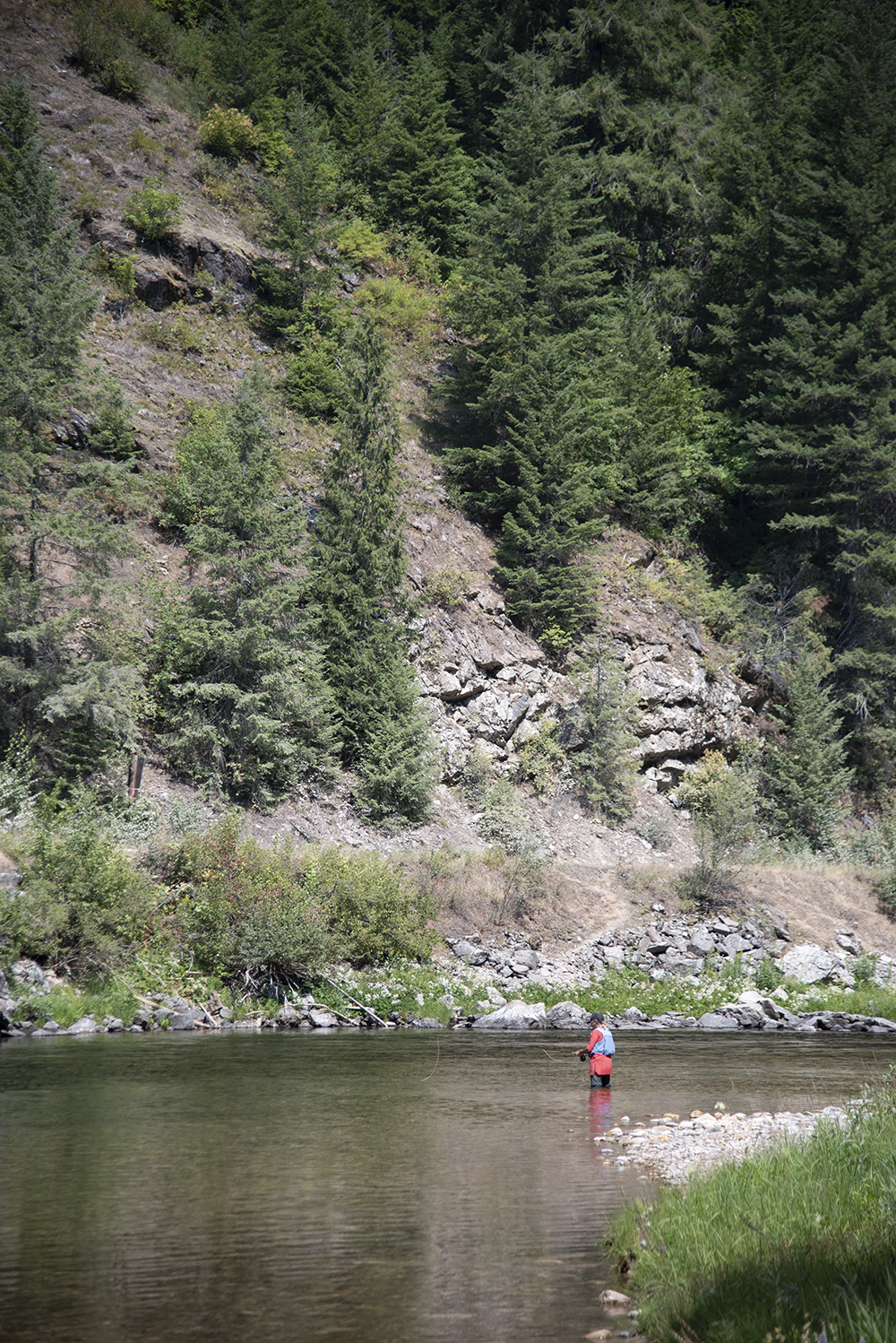 Westslope cutts prefer deep runs and pools, with boulders and downed timber for cover, rather than shallower, more exposed riffles.