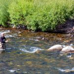 Fly fishing in a trout stream. Photo by John Shewey