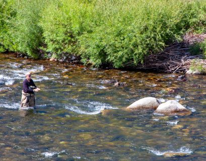 Fly fishing in a trout stream. Photo by John Shewey