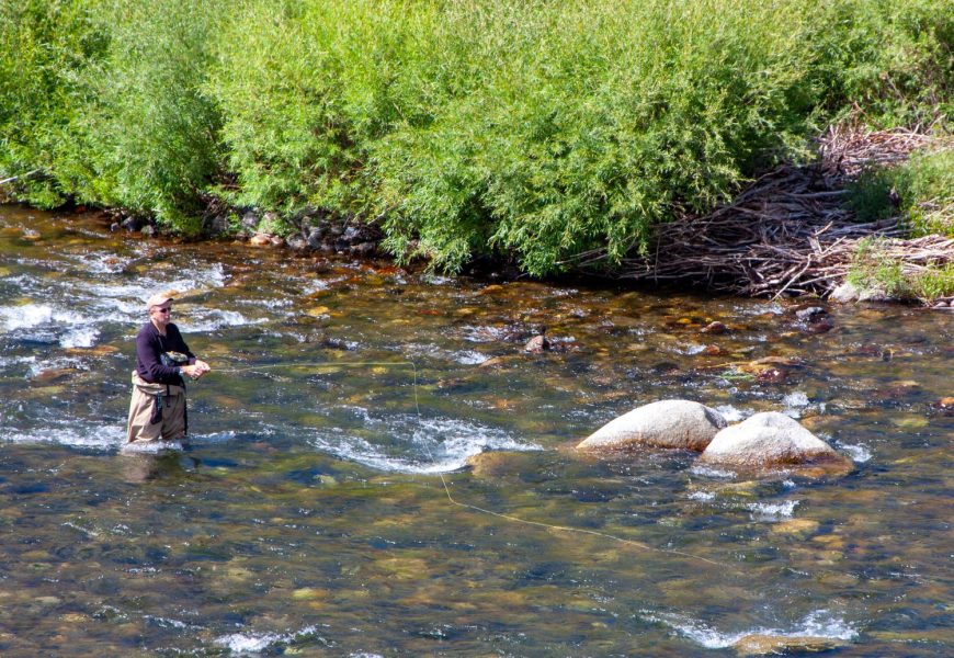 Fly fishing in a trout stream. Photo by John Shewey