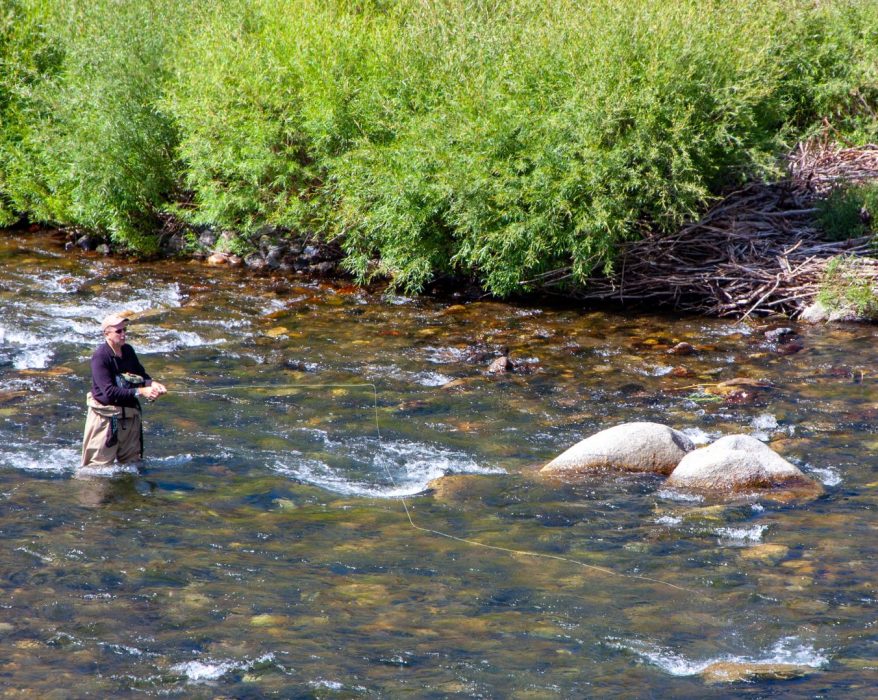 Fly fishing in a trout stream. Photo by John Shewey